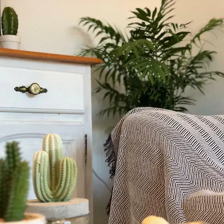 Cactus Apartmán *