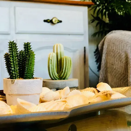 Lejlighed Cactus